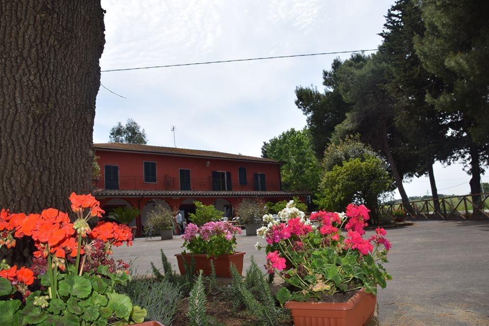 Il bracconiere Hotel Orbetello Esterno foto